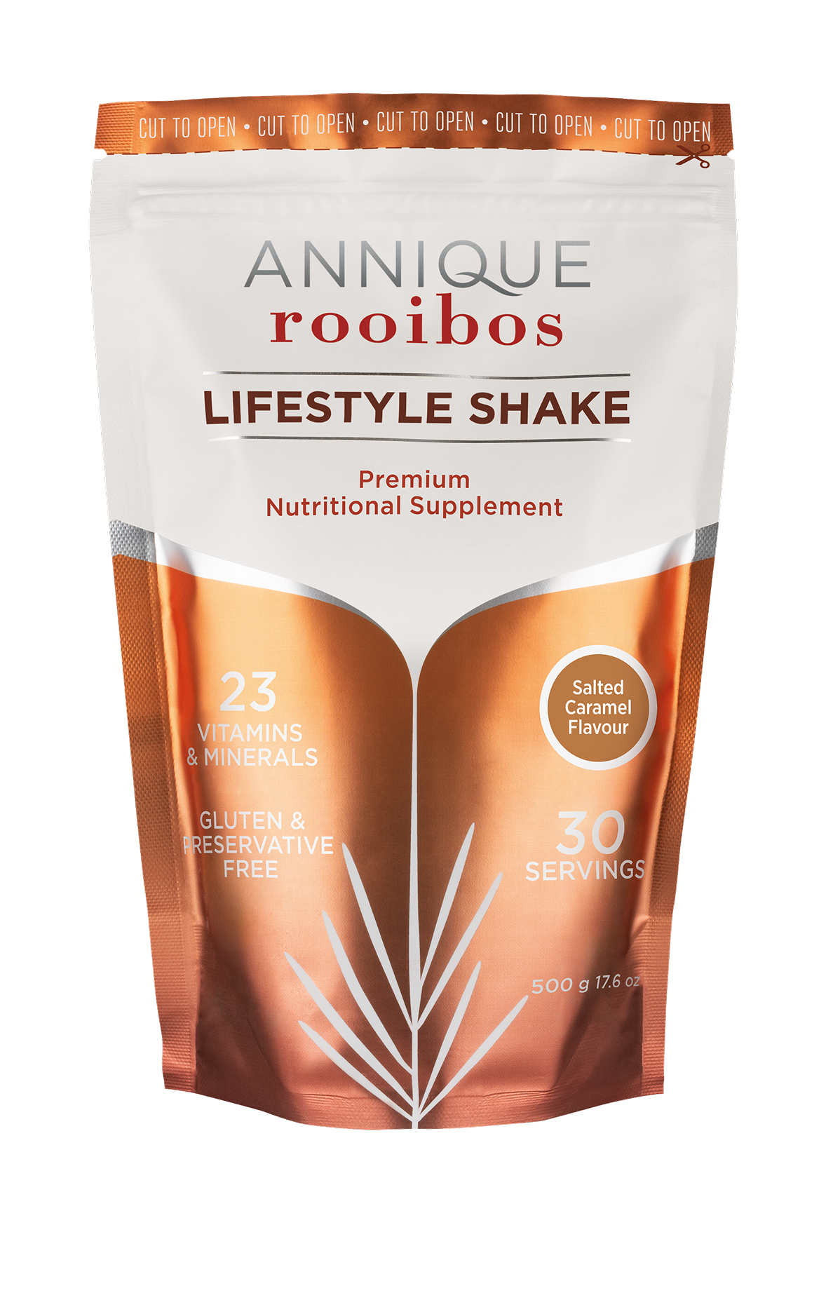 Lifestyle Shake Salted Caramel 500g